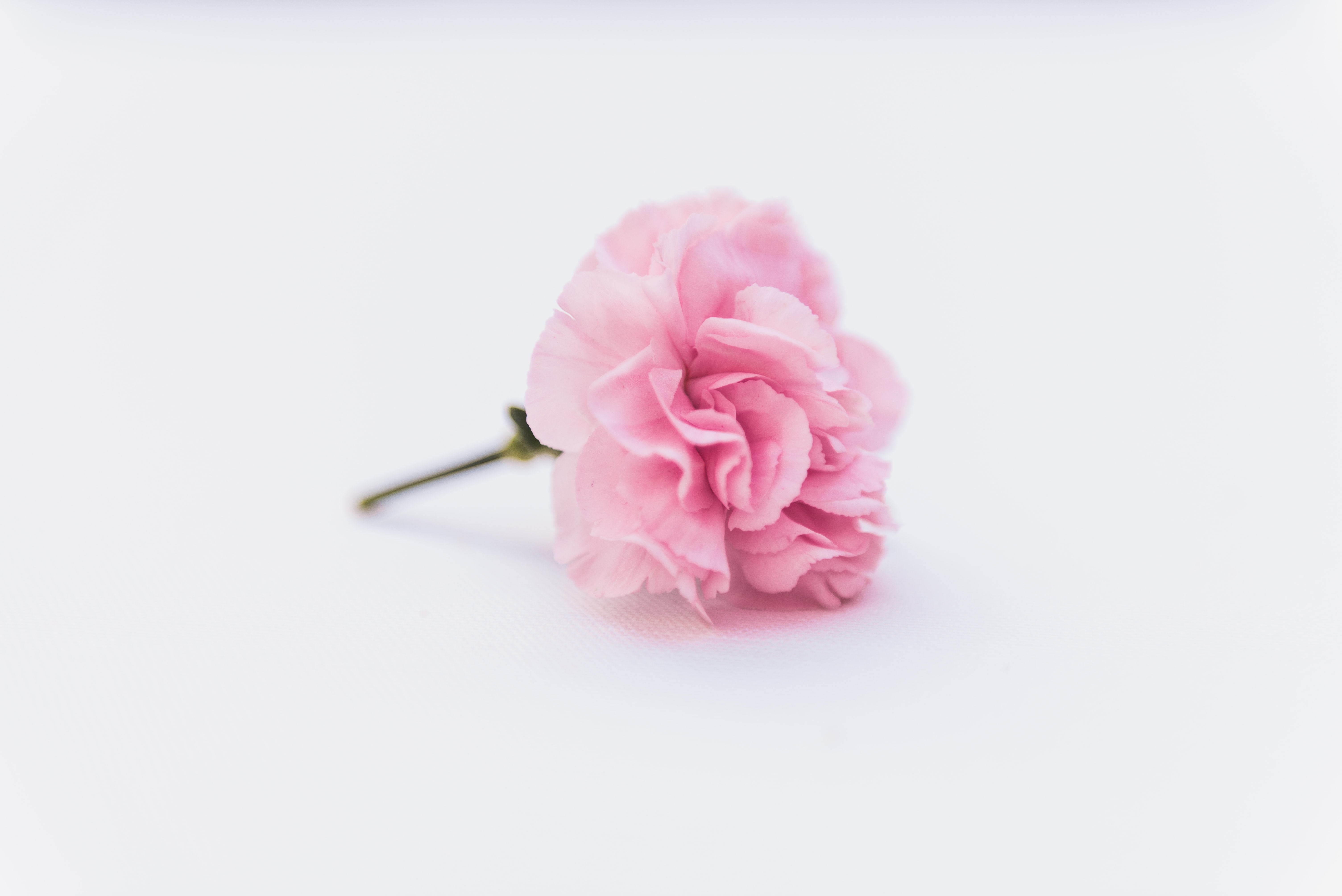 flavio-gasperini-OKFKQ9-nM_M-unsplash