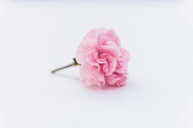 flavio-gasperini-OKFKQ9-nM_M-unsplash